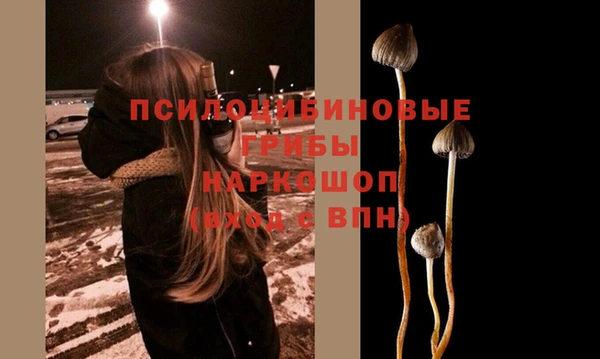 тгк Богданович