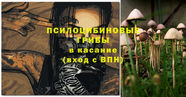тгк Богданович