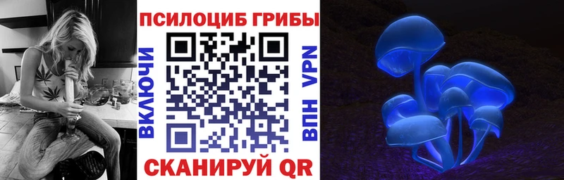 Псилоцибиновые грибы Psilocybe  Обь 